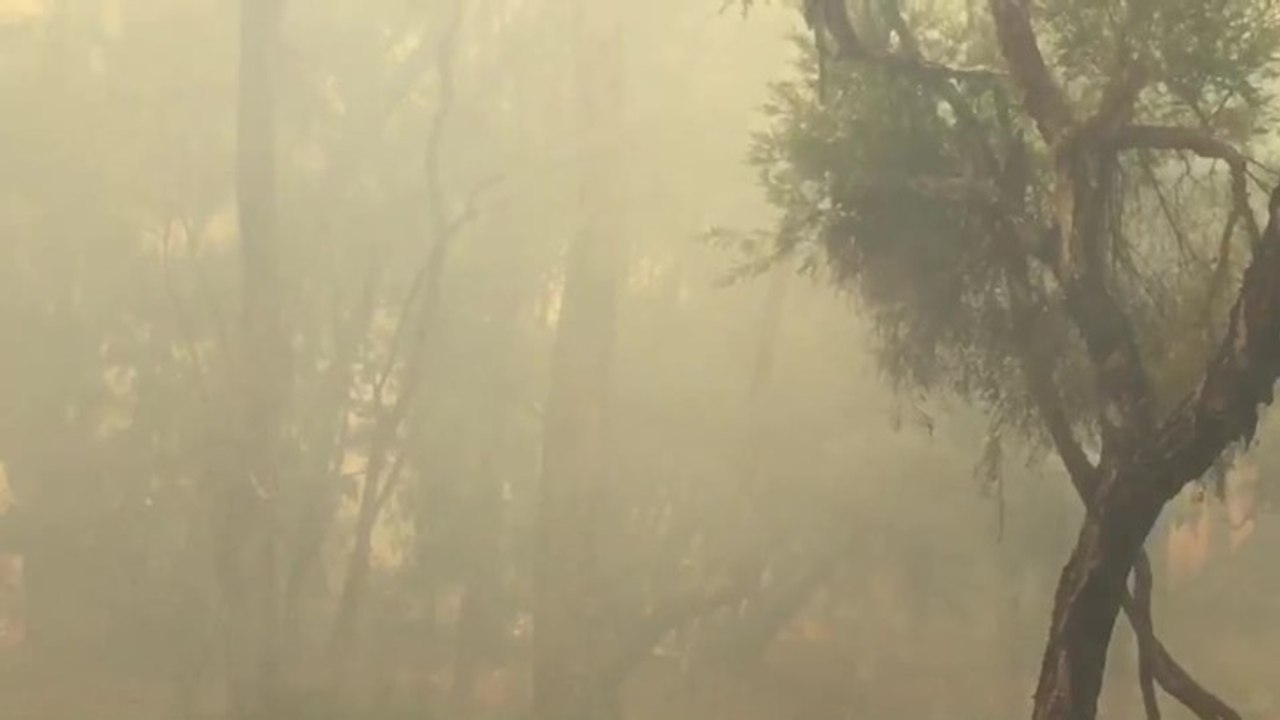 Gelorup fire