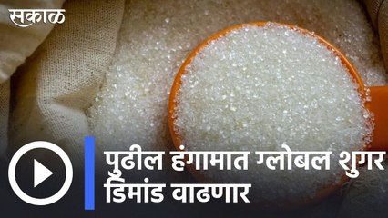 Global Sugar Production | पुढील हंगामात ग्लोबल शुगर डिमांड वाढणार | Sakal Media |