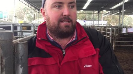 Jamie Quinlan Yea store sale