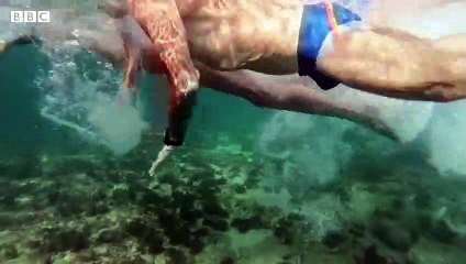 The veteran Cuban swimmers finally allowed back in the water