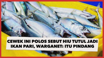 Ditonton 17 Juta Kali, Cewek Polos Sebut Hiu Tutul Jadi Ikan Pari, Warganet: Itu Pindang Ukuran XXL