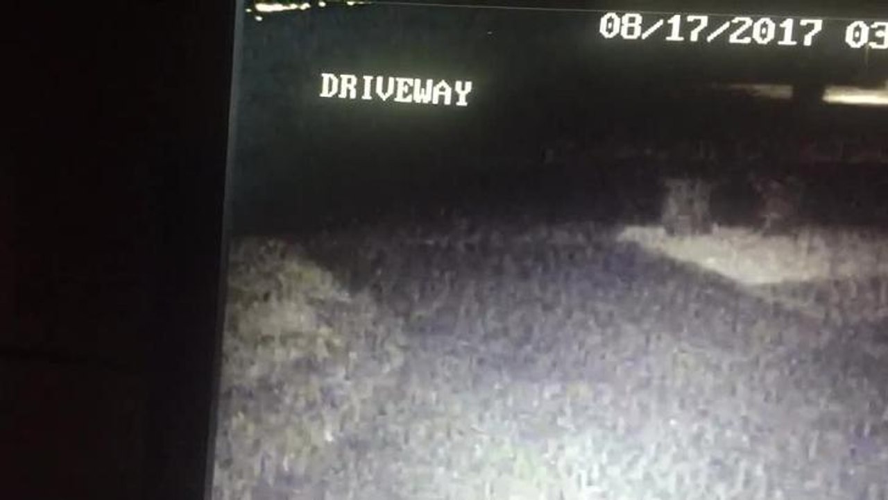 CCTV break-in footage
