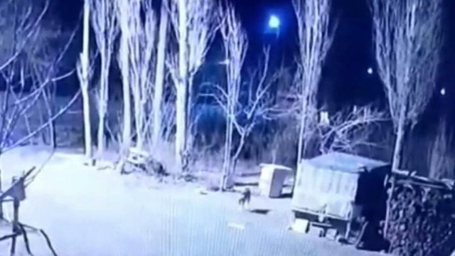 Köye inen 6 aç kurt, köpeği parçaladı