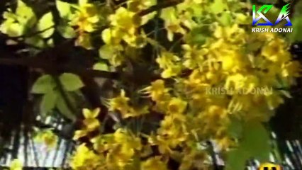 Praise veena PART 02 _  Rev.Sam Sudhakar _ Christian Devotional Songs _ Krish Adonai