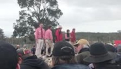 191114 Naracoorte first-cross ewe sale