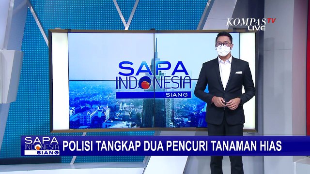 Jebol Dinding, Pencuri di Sukabumi Ambil 11 Tanaman Hias yang Total Harganya Mencapai Rp 250 Juta