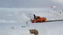 2230 rakımlı Tanin Tanin Geçidi'nde 1 metreyi bulan karlı yollar temizlendi