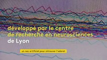 Les premiers pas vers un nez artificiel pour retrouver l'odorat