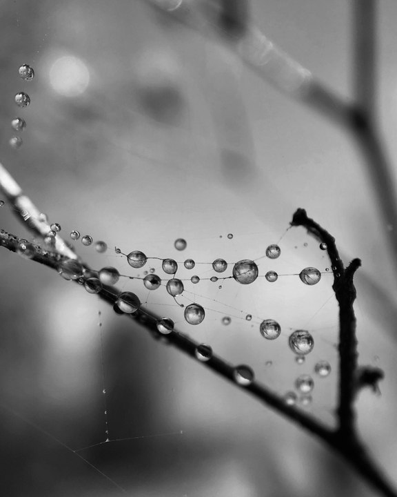 test vignette