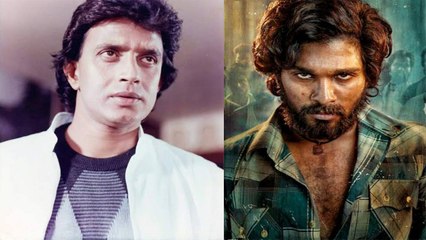 Mithun Chakraborty says Pushpa is similar to his masala films from 90s | FilmiBeat