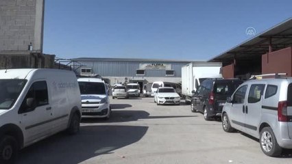 Çukurova'daki çiçek mezatları "Sevgililer Günü" öncesi hareketli