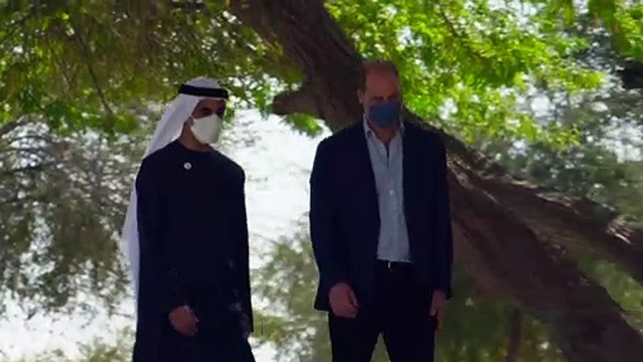 Prince William Plants a Tree on First Official UAE Visit