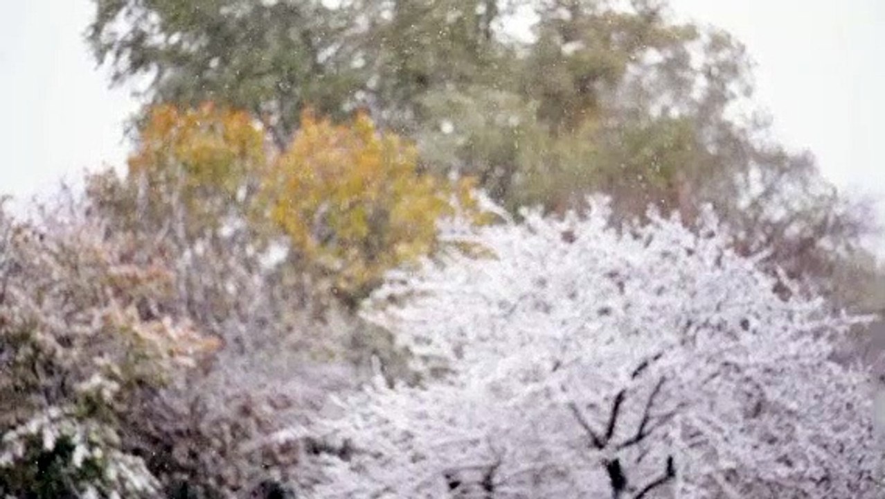 Mirza Ghulam's claim of wahi