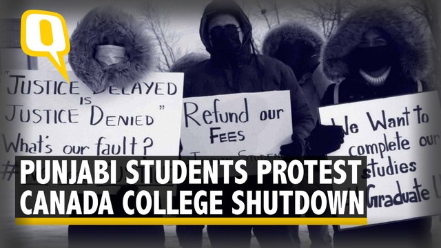 'Save Our Future': Punjabi Students of Canadian Colleges Protest Abrupt Closure