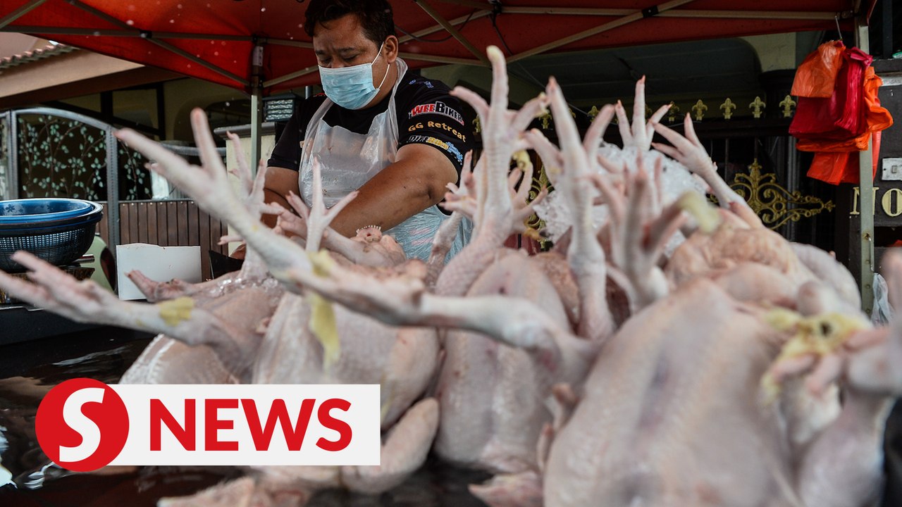 Minister hopes subsidies to poultry farmers will stabilise egg and chicken supply