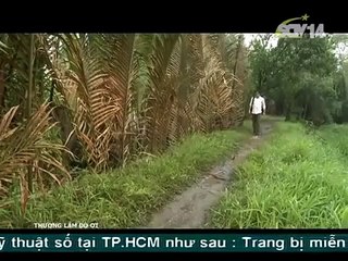 Thương lắm đò ơi tập 32, bản đẹp, phim miền Nam
