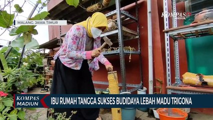 Ibu Rumah Tangga Sukses Budidaya Lebah Madu Trigona