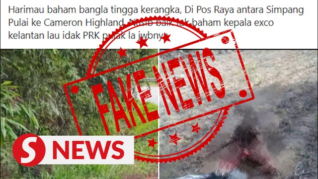 Claim that man was eaten by a tiger is fake, say Perak cops