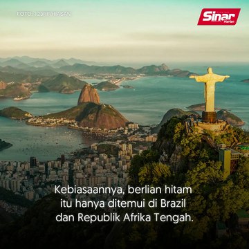 Berlian meteorit dilelong RM17.90 juta!