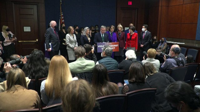 أنجيلينا جولي تدعو الكونغرس الأميركي إلى إقرار قانون جديد لمكافحة العنف الأسري