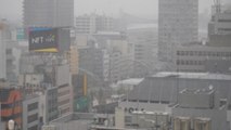 Temporal de nieve interrumpe las vías de transporte en Tokio y alrededores