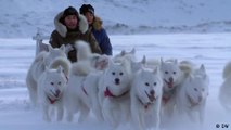 Groenlandia: el deshielo de los glaciares