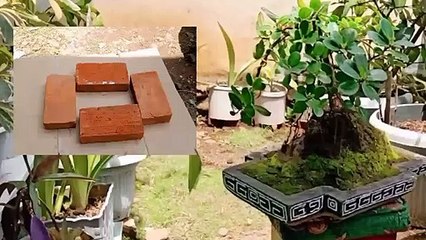 Cara Membuat POT BONSAI Hanya Dengan Batu Bata Bekas