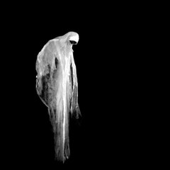 CAM - Peut-on communiquer avec les morts ?