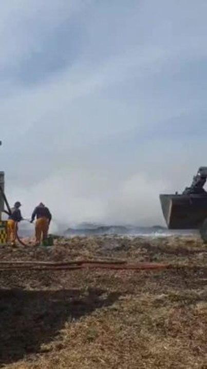 video-1575767107