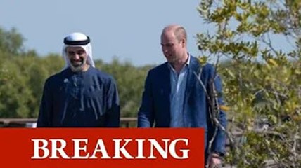 Prince William 'doesn't look at ease' during visit without Kate, fans vent fears for Duke