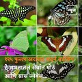 Travel Diary: Take A Tour Of Radhanagari Wildlife Sanctuary From Kolhapur