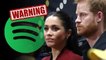 Harry and Meghan Markle Warned Of Risk Of Being Fired By Spotify And Netflix