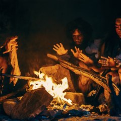 CAM - Quelle est l'origine de l'espèce humaine ?