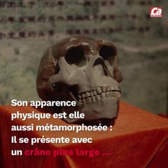 CAM - Quelle est l'origine de l'espèce humaine ?