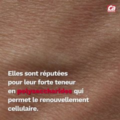 CAM Baie de Goji : usage, bienfaits et risques.