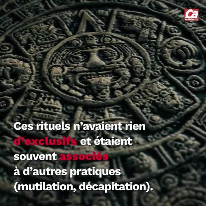 CAM Quelle est la différence entre cannibale et anthropophage ?