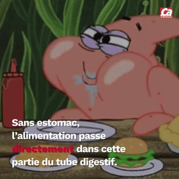 CAM Peut-on vivre sans estomac ?