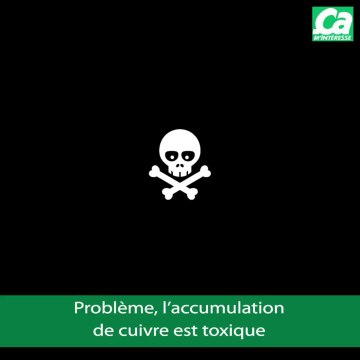 CAM Fausse Bonne Idée Verte La Bouillie Bordelaise