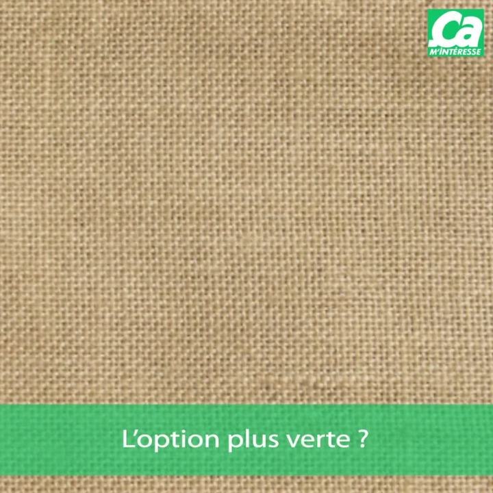 CAM Fausse Bonne Idée VerteCAM Fausse Bonne Idée Verte Le café et le cacao bio