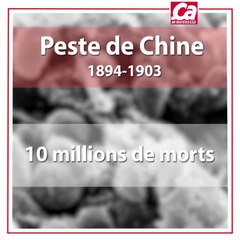 Les 10 épidémies les plus meurtrières au monde