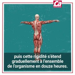 CAM Voici ce qu'il se passe quand on meurt
