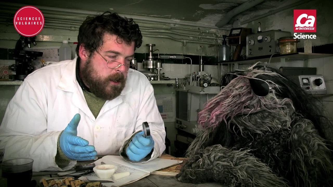 SCIENCES VULGAIRES SON BLADE RUNNER