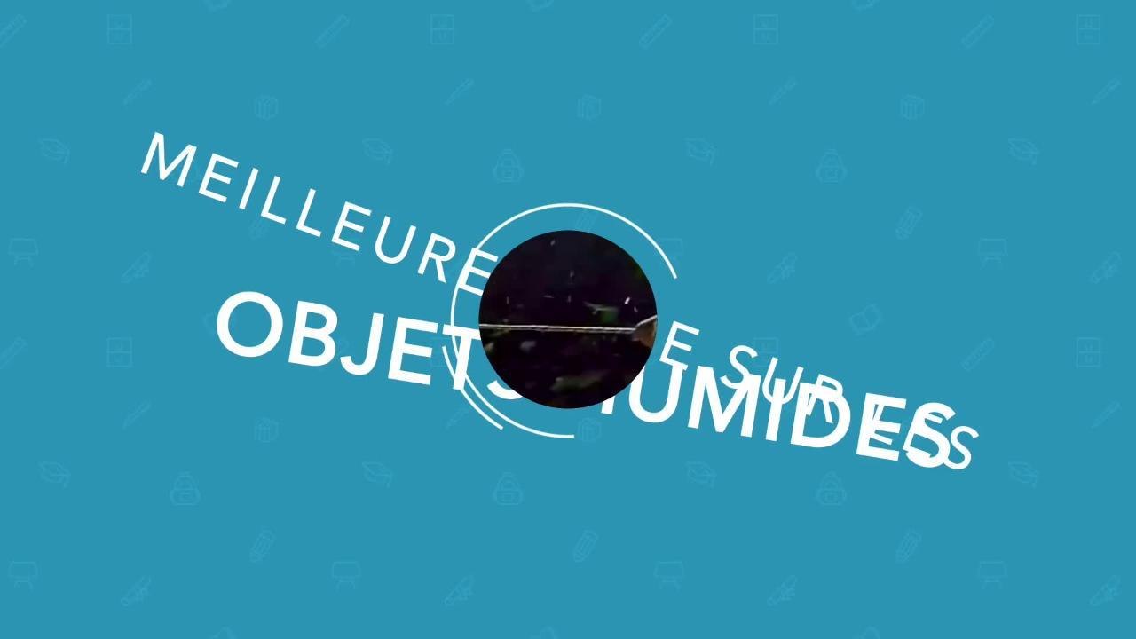 CAM Pourquoi les doigts se rident-ils dans l'eau ?