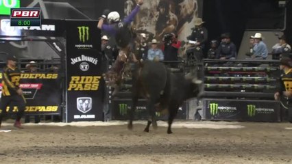 PBR Newcastle Newsfeed