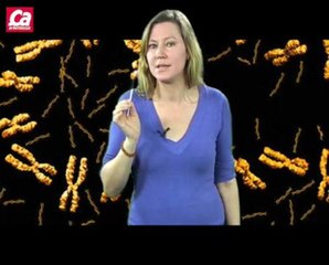 Qui sommes-nous ? Doù venons-nous ?