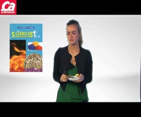 L'huître est-elle encore vivante quand on la mange ?