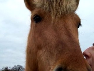 Pilou moi tripe pré chanson
