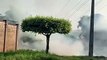 Bombeiros combatem incêndio em vegetação; chamas chegaram perto de casas