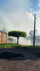 Bombeiros combatem incêndio em vegetação; chamas chegaram perto de casas