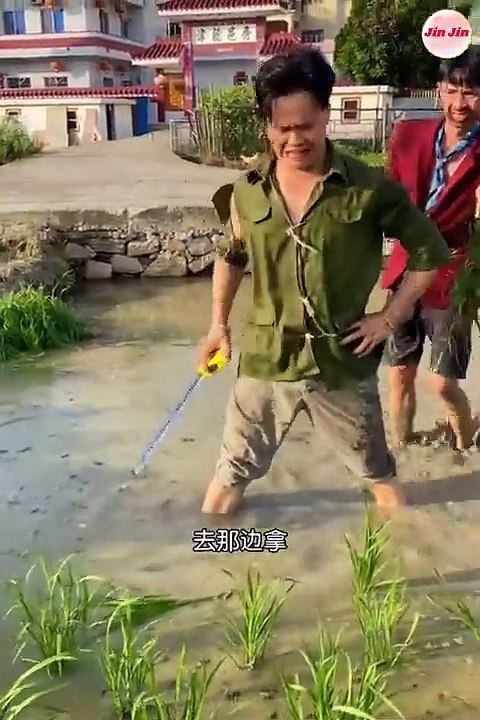 Best Funny video | Don't try | comedy king | Funny video | comedy videos| Best Funny Videos  - Try to Not Laugh  (5)